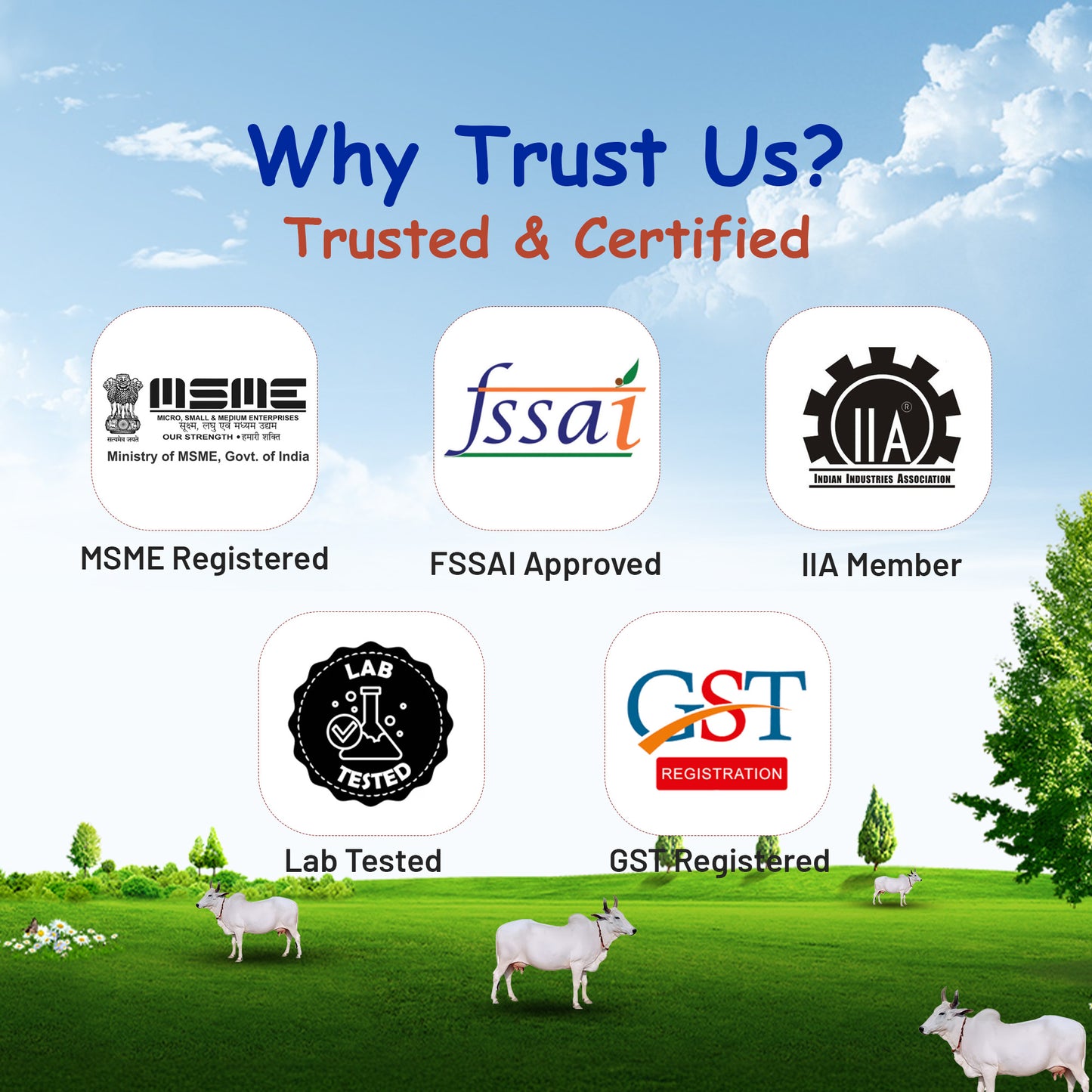 5 Liter Cow Bilona Ghee Bucket